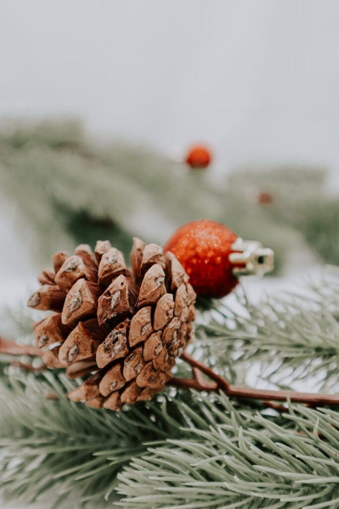 christmas decoration ideas_pinecones